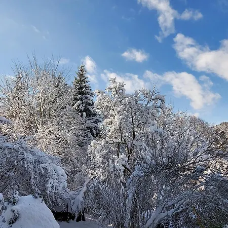 Felsenblick Albstadt