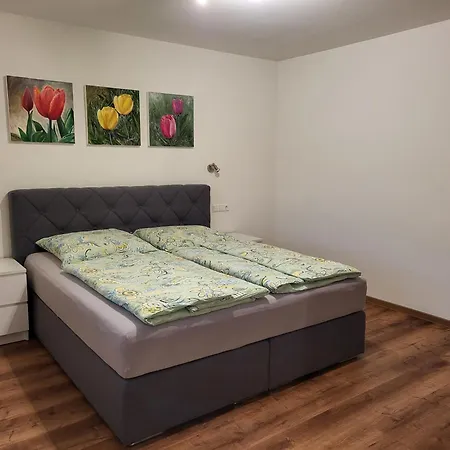 Apartamento Felsenblick *