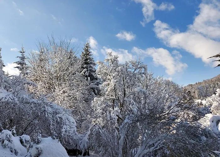 Felsenblick Albstadt